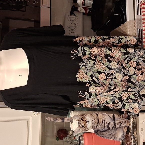 E womens J.Jill stretch short sleeve pullover plus size top 2X - Picture 1 of 5